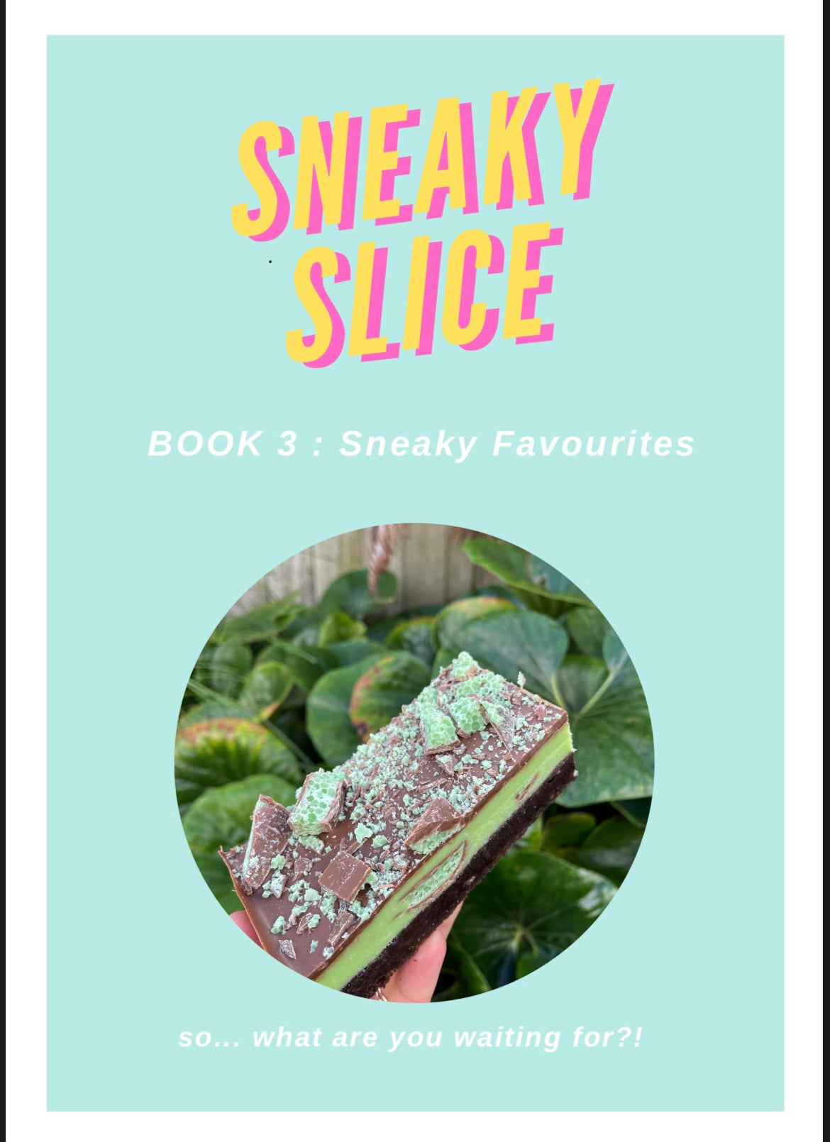 Sneaky Favourites - ebook